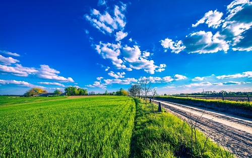 1644369941135765.png image.png