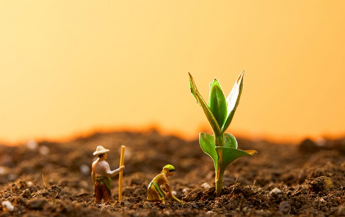 1646100216149005.png image.png