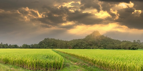 1653535785426404.png image.png