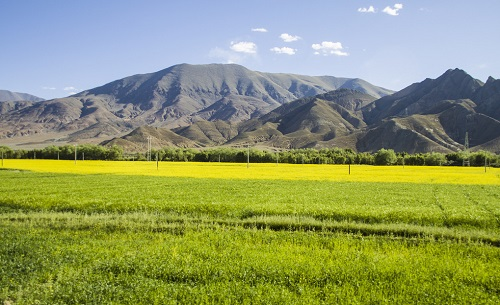 1655954201147205.png image.png