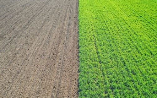 1660792729207822.png image.png