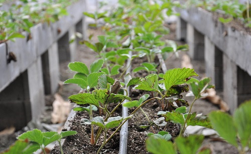 1661134263164073.png image.png