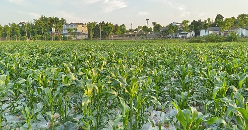 1671779759130047.png image.png