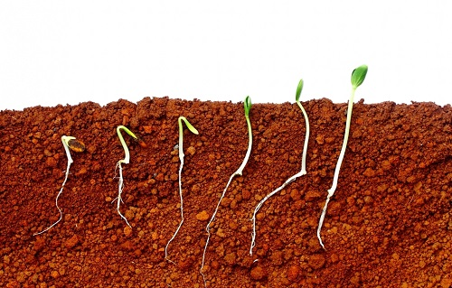 1675740026122584.png image.png