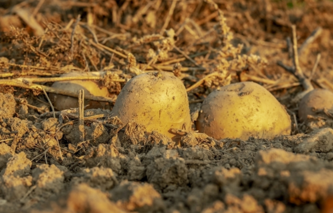 1678765159108967.png 1678765159108967.png