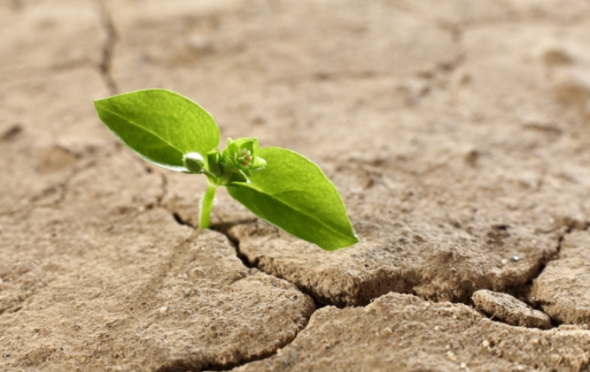 土壤肥料檢測儀怎么用？