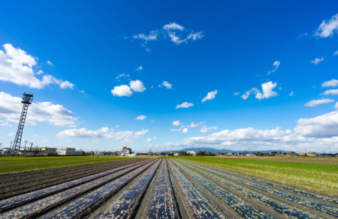 1682214679177258.png 土壤墑情檢測(cè)儀