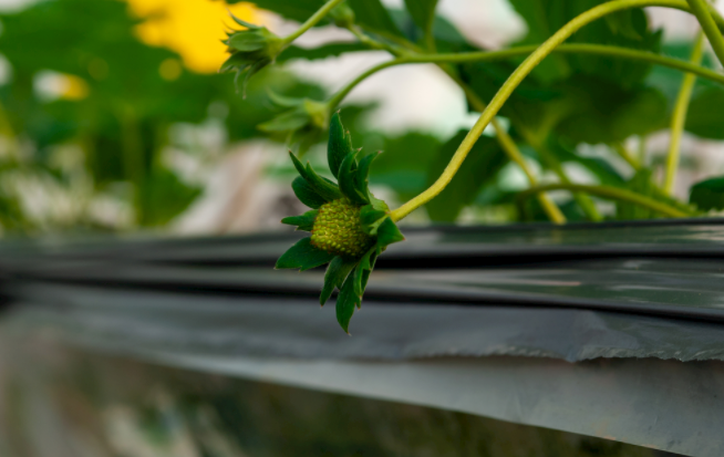 1683523003175796.png 土壤水分溫度儀