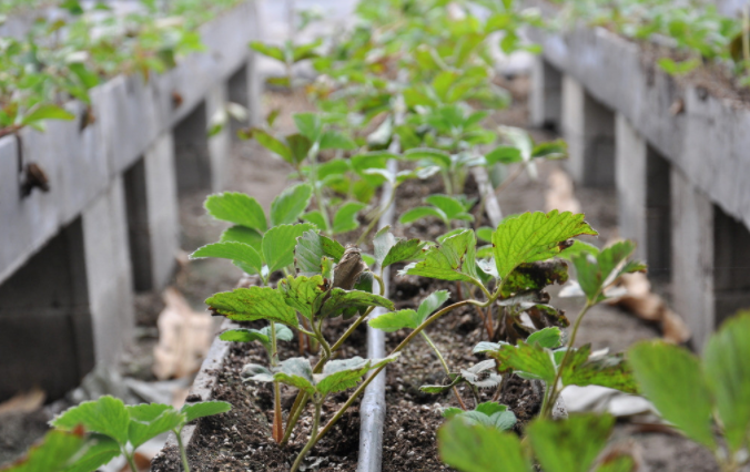 1685067246111921.png 土壤墑情監(jiān)測(cè)站